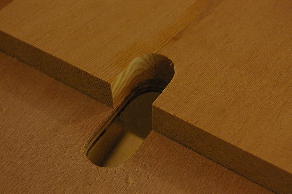 gal/Sooty_Tern_Build/Sooty_Tern_107.jpg
