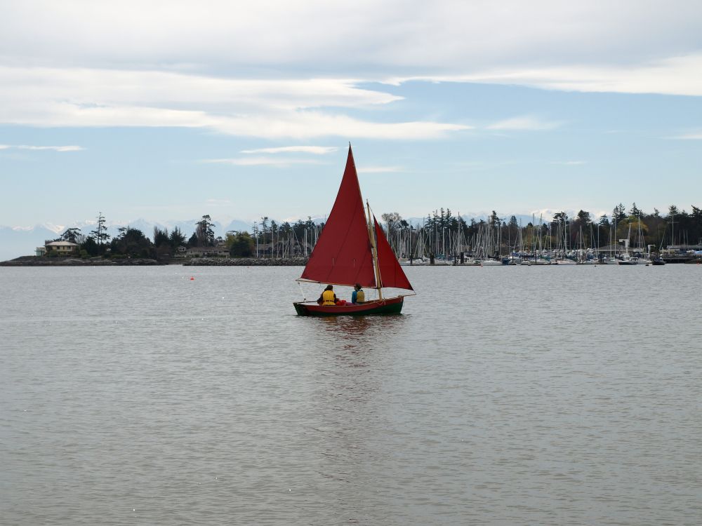 gal/Coble/P4120529.jpg