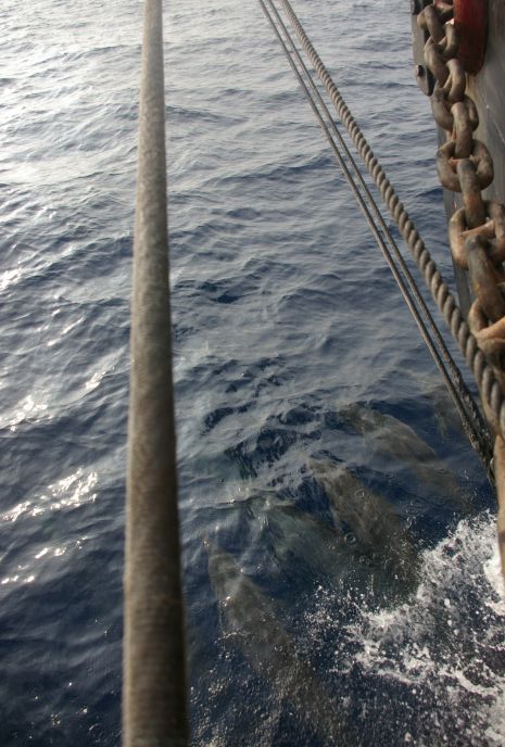 gal/Offshore/IMGP6087.jpg