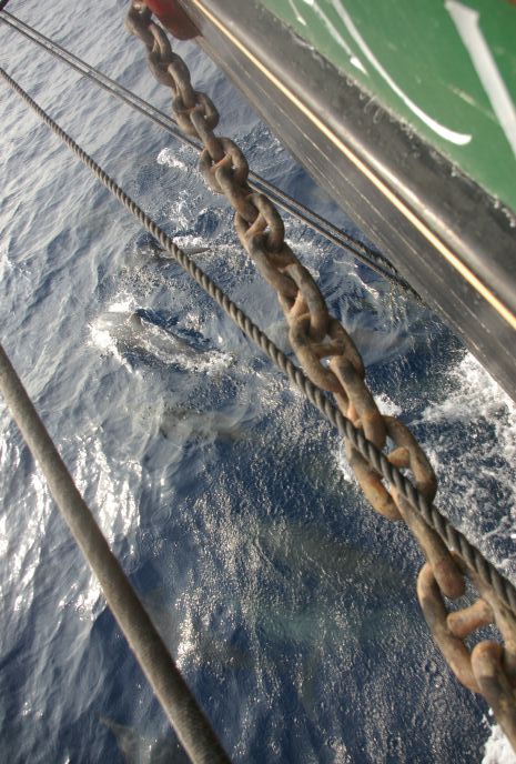 gal/Offshore/IMGP6091.jpg