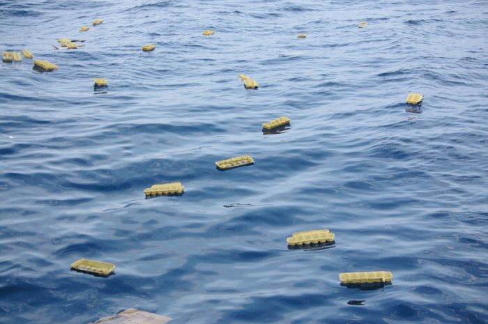 gal/Offshore/IMGP6112.jpg
