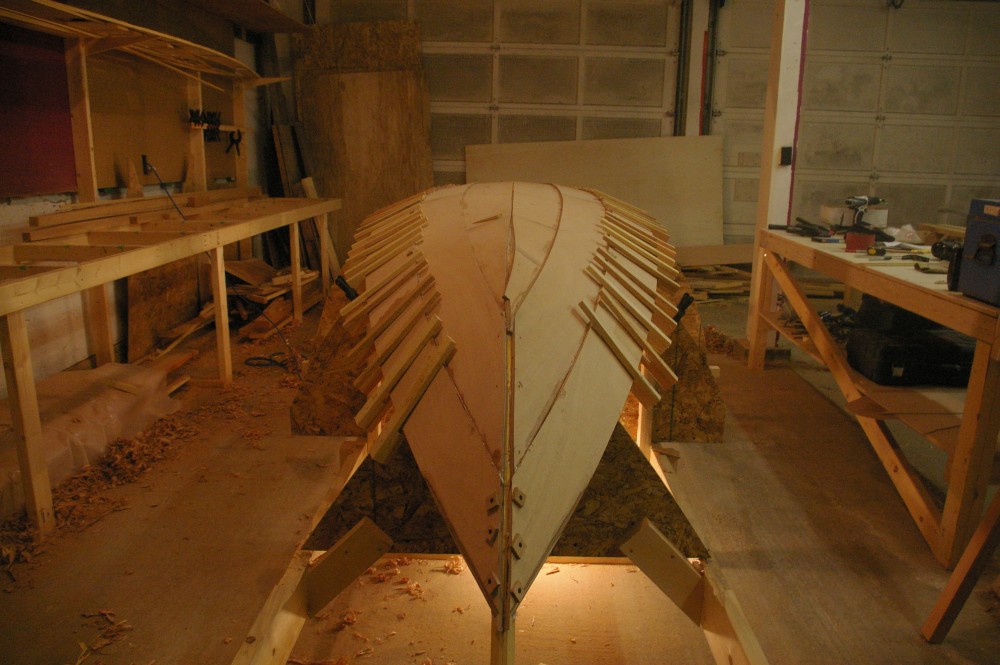 gal/Sooty_Tern_Build/Sooty_Tern_022.jpg