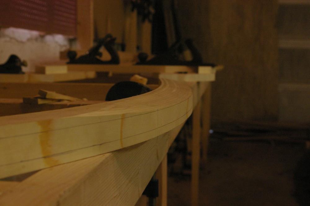 gal/Sooty_Tern_Build/Sooty_Tern_033.jpg