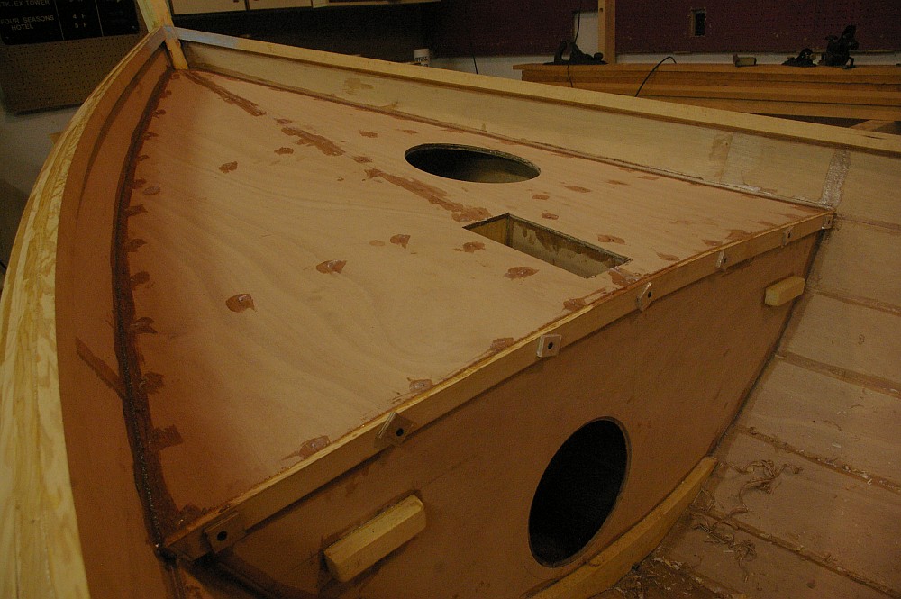 gal/Sooty_Tern_Build/Sooty_Tern_097.jpg